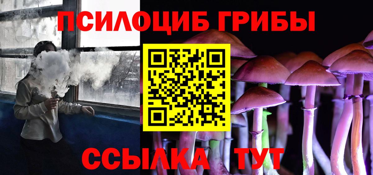 сколько стоит  Вход с VPN  Сосновый Бор  Псилоцибиновые грибы прущие грибы 