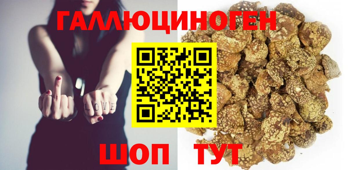 Галлюциногенные грибы Cubensis Сосновый Бор