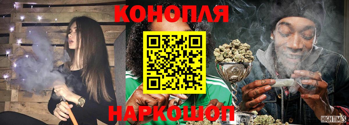 Бошки Шишки семена Сосновый Бор